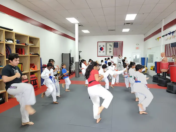 YJ Tae Kwon Do Academy Picture 3