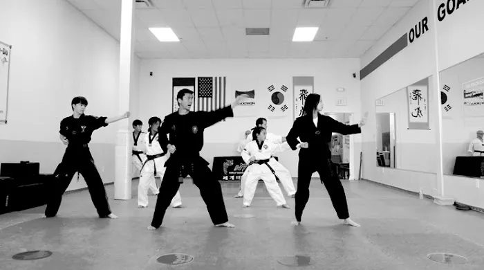YJ Tae Kwon Do Academy Picture 5