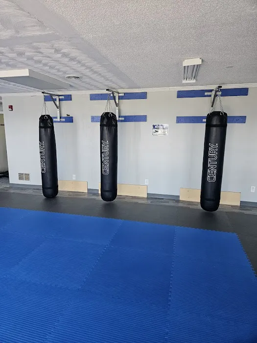 Momentum Martial Arts Picture 4