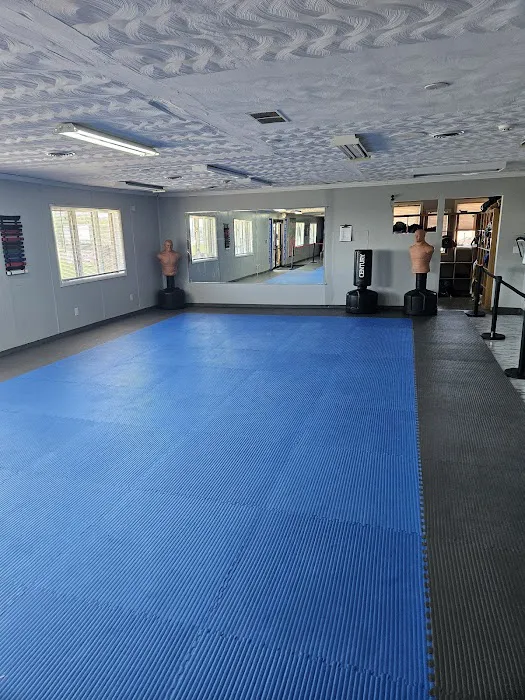 Momentum Martial Arts Picture 3