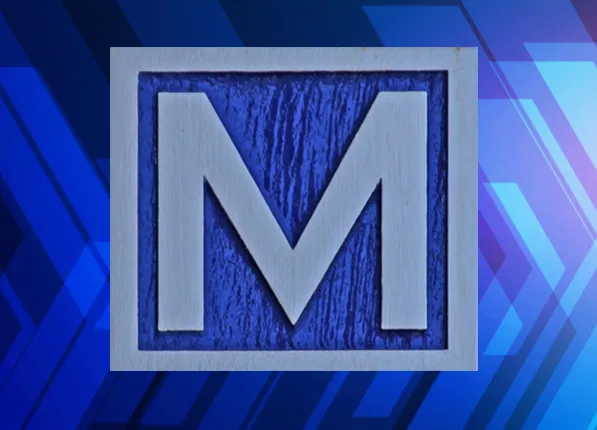 Momentum Martial Arts Picture 5