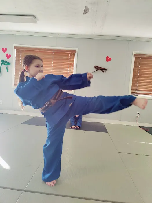 Momentum Martial Arts Picture 2