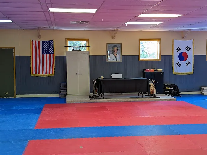 Us Tae Kwon Do Picture 3