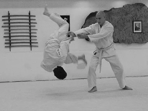 Capital Aikikai Picture 2