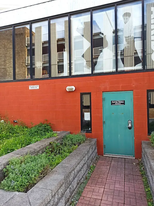 Capital Aikikai Picture 6