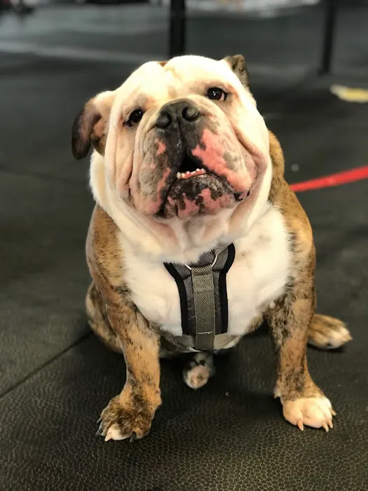 T.E.A.M. University - FitForever Strength & Conditioning Picture 4