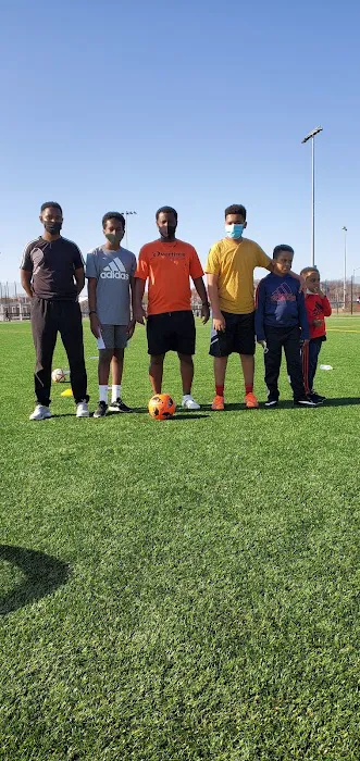 Dmvstar Sport and Martial Art Picture 2