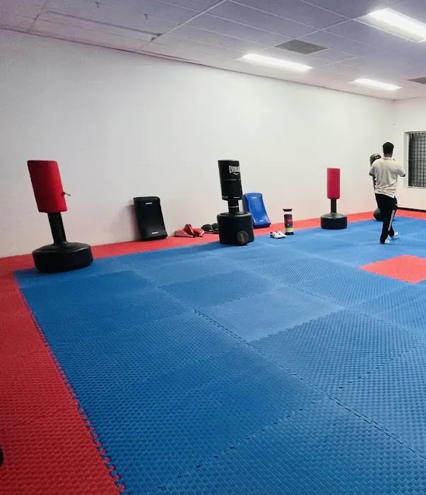 Dmvstar Sport and Martial Art Picture 1