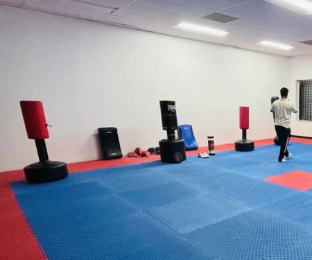 Dmvstar Sport and Martial Art