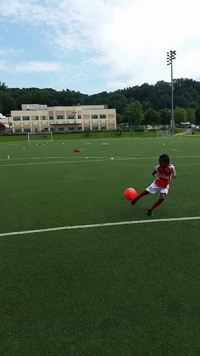 Dmvstar Sport and Martial Art Picture 3