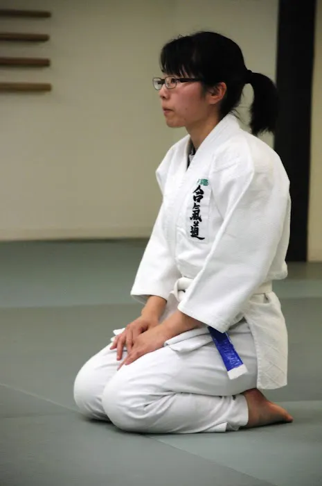 DC Aikido Martial Arts Academy Picture 9