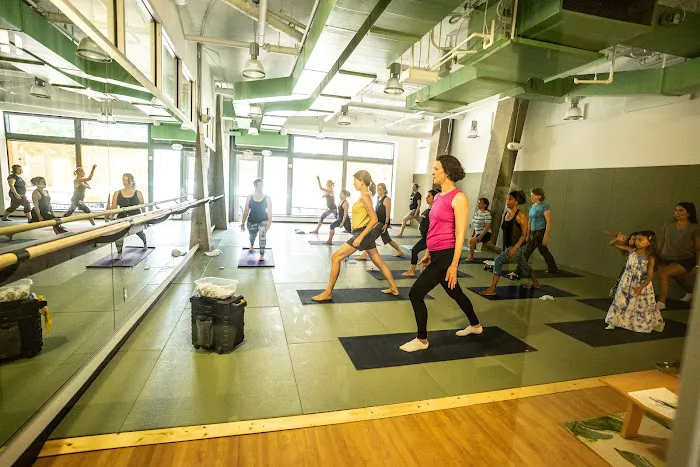 EvolveAll - Martial Arts and Training Studio Picture 1