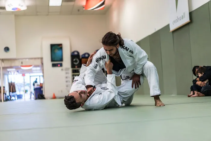 EvolveAll - Martial Arts and Training Studio Picture 5