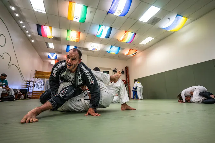 EvolveAll - Martial Arts and Training Studio Picture 6