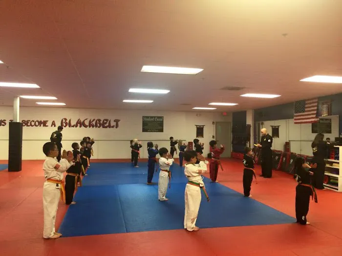 Lead By Example Tae Kwon Do Picture 3