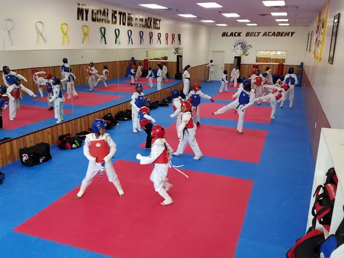 Black Belt Academy Picture 1