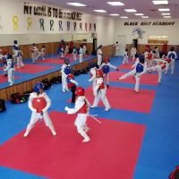 Black Belt Academy ico