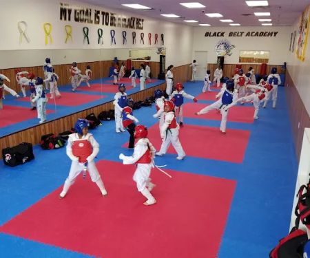 Black Belt Academy