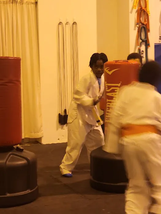 KIDZ KICK - CRAFT SELF DEFENSE KARATE Picture 10