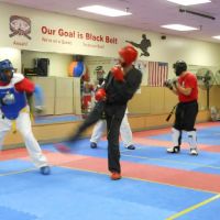 Waldorf Martial Arts ico