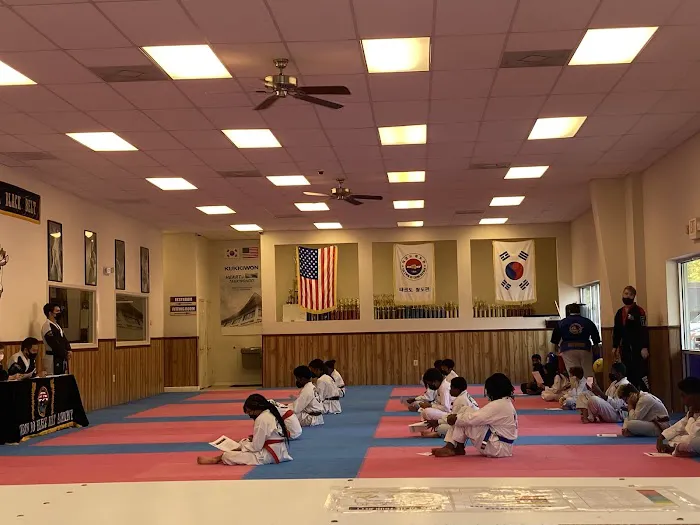 Black Belt Academy Picture 1
