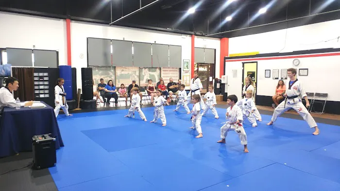Tae Kwon Heroes Picture 1