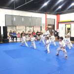 Tae Kwon Heroes