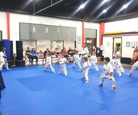 Tae Kwon Heroes