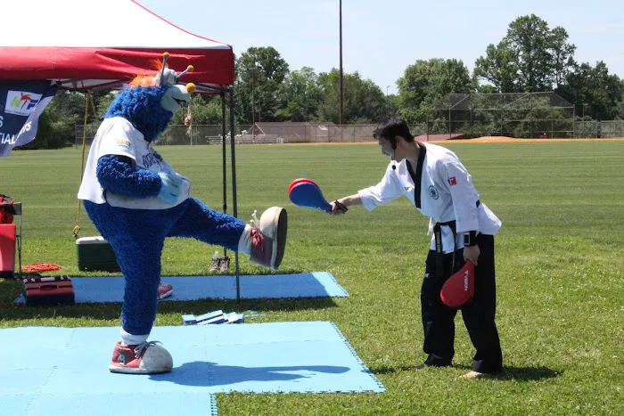 Tae Kwon Heroes Picture 2