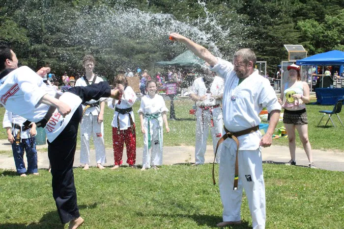 Tae Kwon Heroes Picture 4