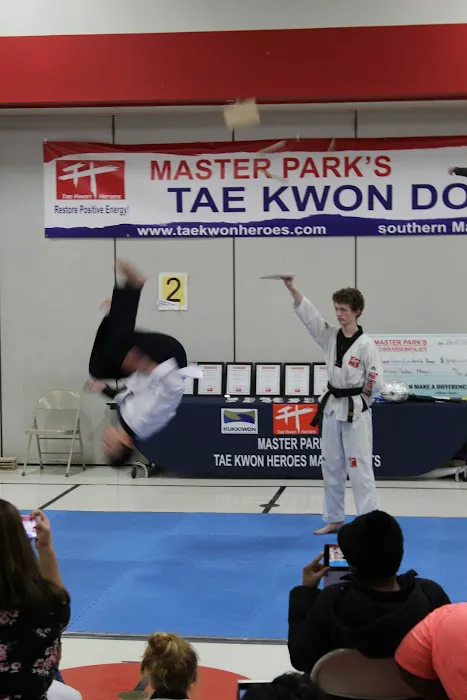 Tae Kwon Heroes Picture 5