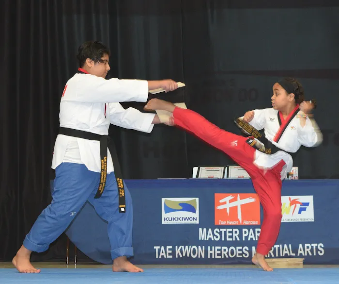 Tae Kwon Heroes Picture 9