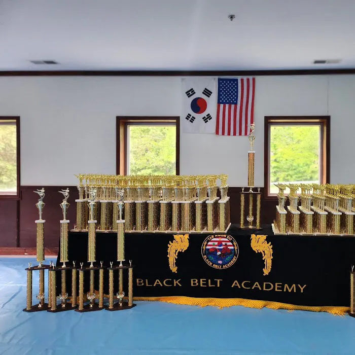 Master Chan Sung's Black Belt Academy Picture 7