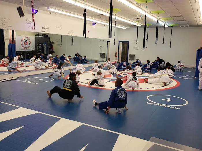 American Family Centers - Karate Picture 2