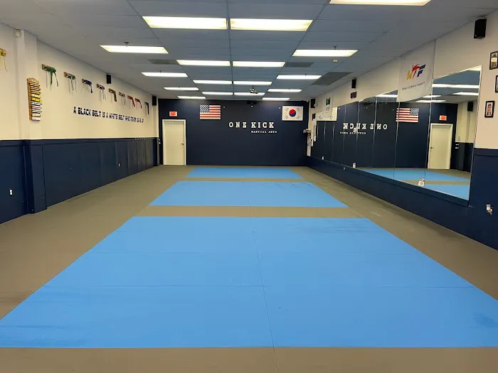 Onekick Martial Arts of Alexandria Picture 2