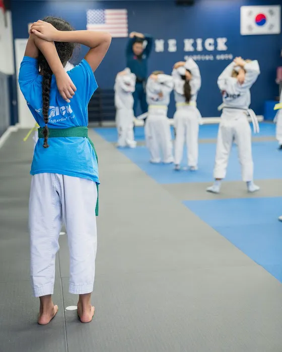 Onekick Martial Arts of Alexandria Picture 1