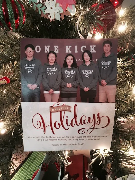 Onekick Martial Arts of Alexandria Picture 8