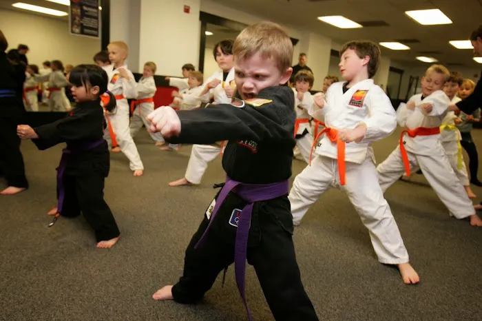 Potomac Kempo - Old Town Picture 8