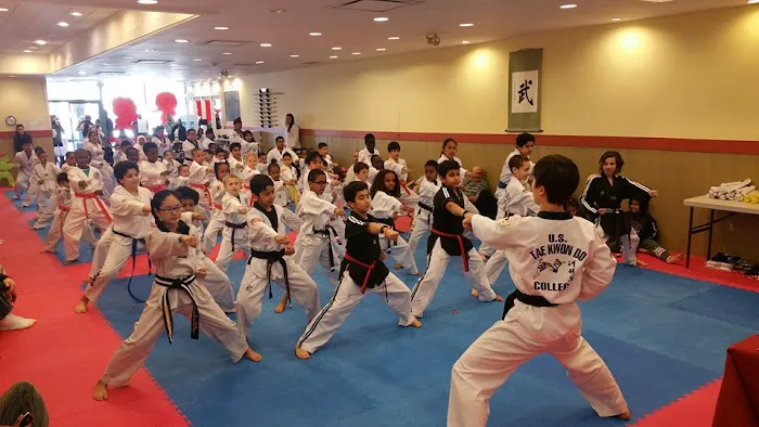 US Tae Kwon Do College - Bailey's Crossroads Picture 1