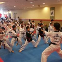 US Tae Kwon Do College - Bailey's Crossroads ico