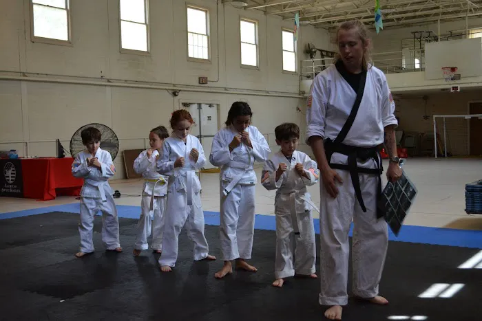 American Sport Karate Picture 1