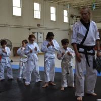 American Sport Karate ico