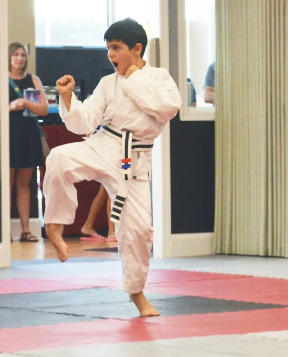 American Sport Karate Picture 4