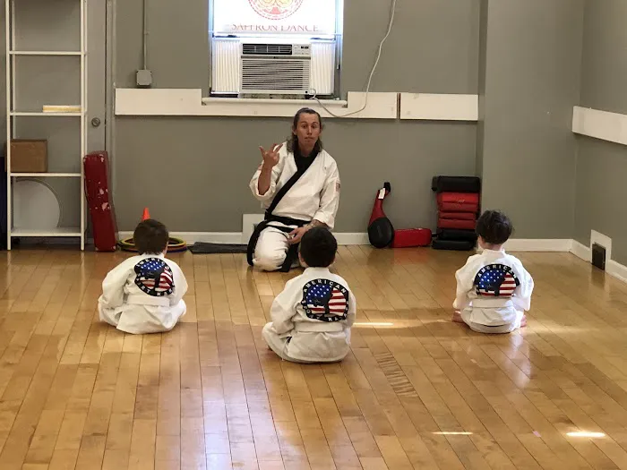 American Sport Karate Picture 9