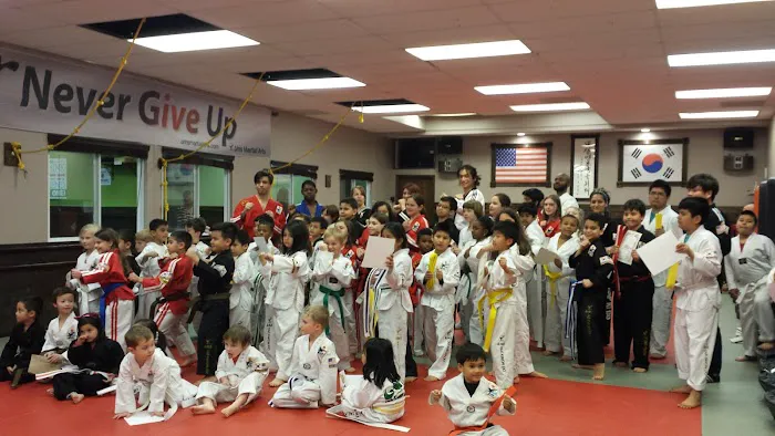 UMS Martial Arts Picture 4