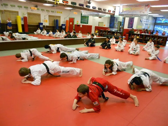 UMS Martial Arts Picture 8