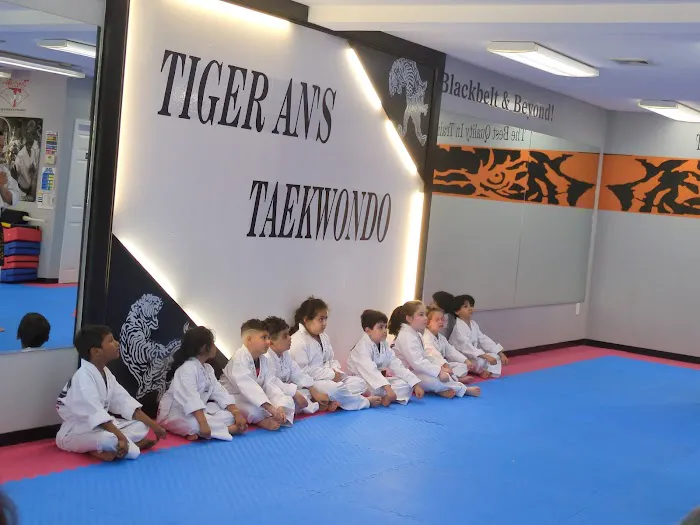 Tae Kwon Do Karate Club Picture 2