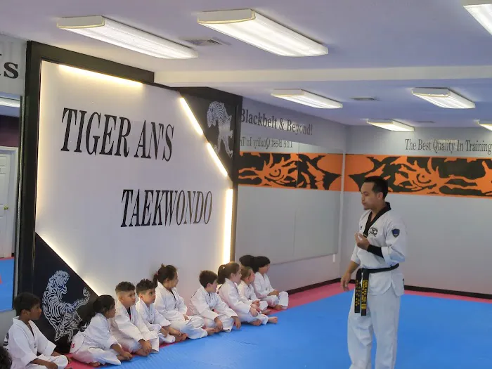 Tae Kwon Do Karate Club Picture 1