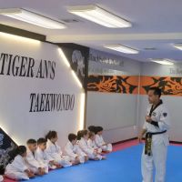 Tae Kwon Do Karate Club ico