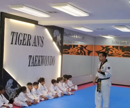 Tae Kwon Do Karate Club